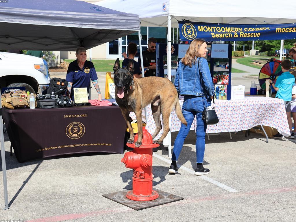 យុទ្ធសាស្ត្រ​សំរាប់​ការអប់រំសុវត្ថិភាព
