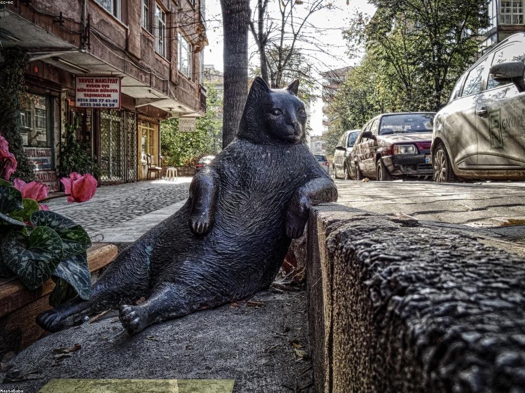 ស្តង់ដារច្បាប់ និងបទបញ្ជា៖ គន្លឹះដ៏សំខាន់សម្រាប់ការអភិវឌ្ឍន៍